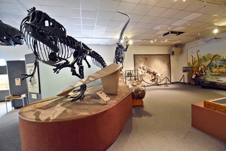 BYU Museum of Paleontology