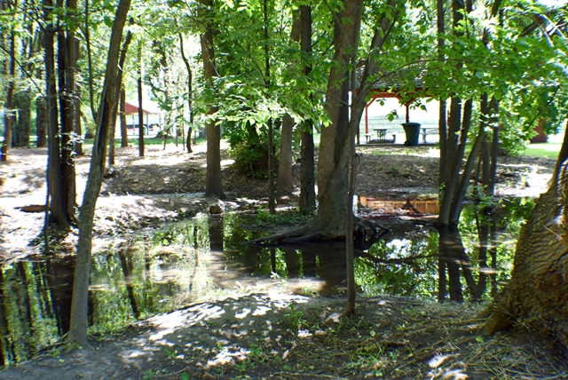 Paul Ream Wilderness Park, Provo Utah