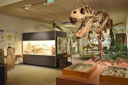 BYU Paleontology Museum