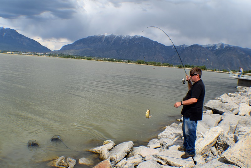 Utah Lake State Park, Provo Utah