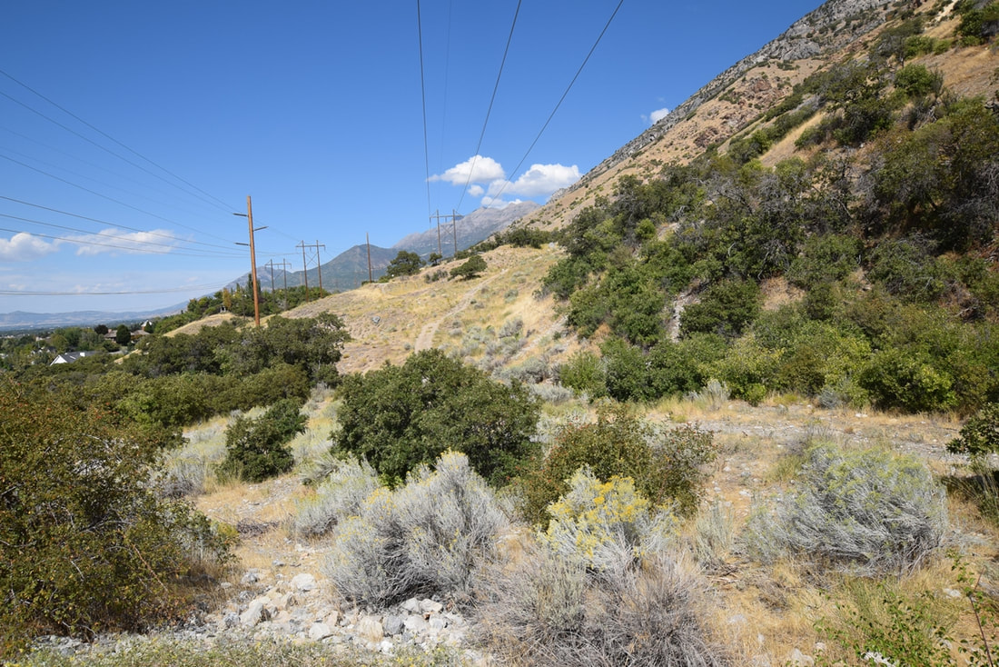 Rock Canyon Dsc Golf Course, Provo Utah